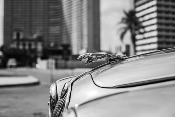 كازينو غولدن ريلز تطبيق أندرويد/آي أو إس